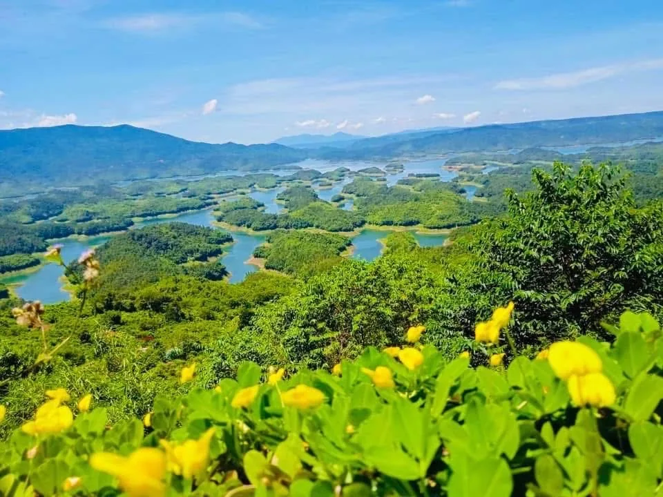 Đồi hoa dại nhìn xuống hồ