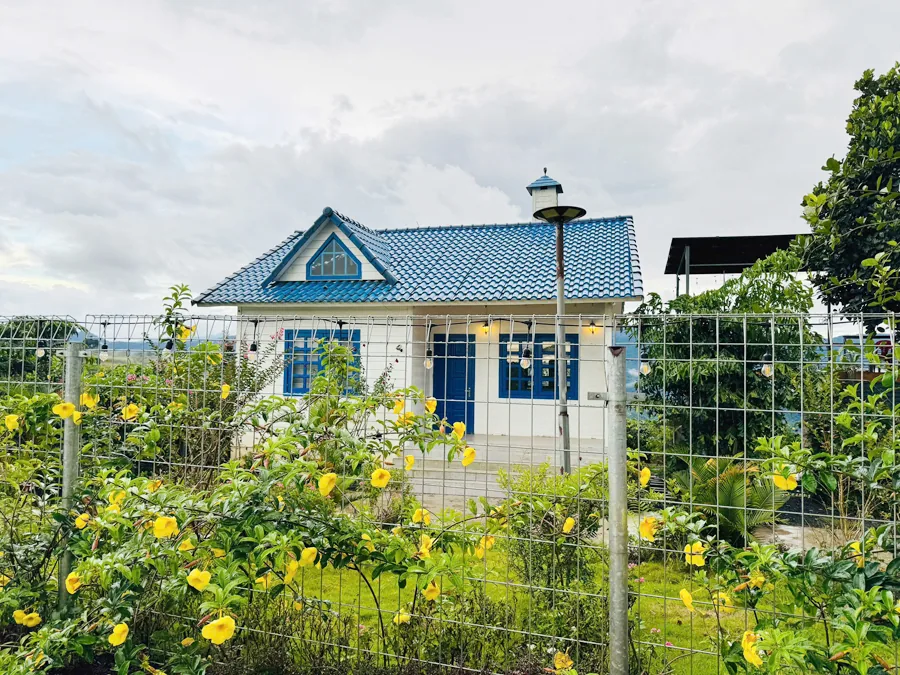 Căn nhà mái xanh giữa vườn hoa ở Tà Đùng